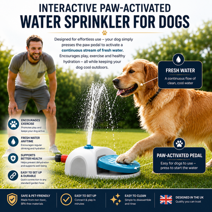Interactive Dog Water Fountain
